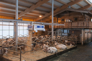 Hetwin Astor –automaattinen kuivittaja
