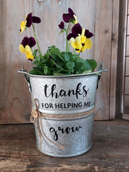 Thanks for helping me grow -sinkkiruukku