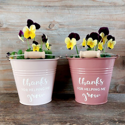 Maalattu Thanks for helping me grow -sinkkiruukku