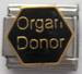 Elinten luovuttaja, Organ Donor