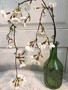 KIRSIKANKUKKA OKSA, VALKOINEN, 109 CM