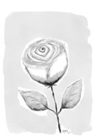 KORTTI, Ruusu harmaa, 2-osainen