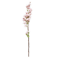 KIRSIKKAKUKKA OKSA, VAALEANPUNAINEN, 59 CM