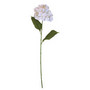 HORTENSIA, VALKOINEN, 75 CM