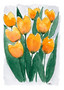 KORTTI, Keltaiset tulppaanit, 2-osainen