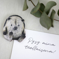 JÄÄKAAPPIMAGNEETTI, SIPI-SIILI