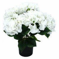 HORTENSIA RUUKKU, VALKOINEN, 42 cm