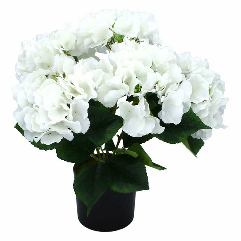 HORTENSIA RUUKKU, VALKOINEN, 42 cm