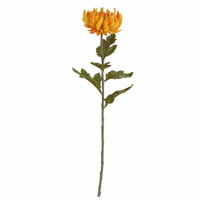 KRYSANTEEMI-KUKKA, OKRA 62cm