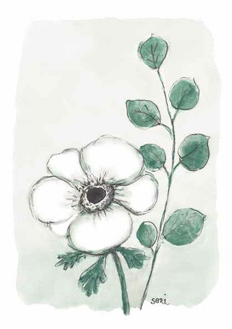 ADRESSI, Anemone ja eukalyptus-oksa
