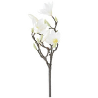 MAGNOLIA-OKSA,  VALKOINEN 40cm