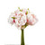 PIONI KUKKAKIMPPU, VAAL.PUN 24 CM
