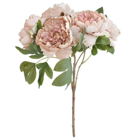 PIONI KUKKAKIMPPU , VANHA ROOSA 50cm
