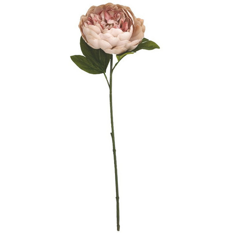 PIONI, ROOSA 51 CM