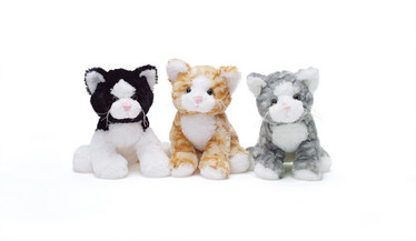 TEDDY KISSA LAJ.