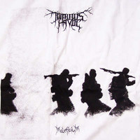 Impious Havoc ‎– MaleficiuM (LP, Uusi)