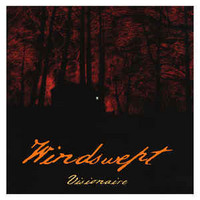 Windswept  ‎– Visionaire (LP, Uusi)
