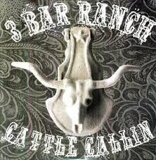 Hank Williams III, Hank 3 - Cattle Callin (CD, New)