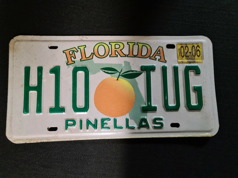 Florida H10 IUG