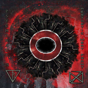 Psychonaut 75 / Aesthetic Meat Front ‎– Demonium Of The Earth / Bird Of Oblivion, An Incantation Of Fire (CD, käytetty)