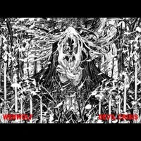 True Werwolf - Devil Crisis LP (uusi)
