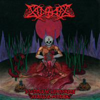 Sadokist – Necrodual Dimension Funeral Storms (LP, uusi)