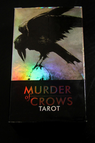 Murder of Crows Tarot kortit