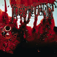 Deathbound ‎– To Cure The Sane With Insanity (CD, used)