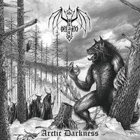 BLACK BEAST – Arctic Darkness (Digipack CD, uusi)