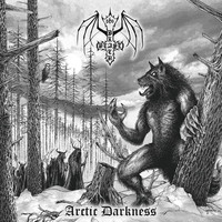 BLACK BEAST – Arctic Darkness (Gatefold LP, New)