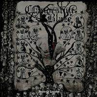Clandestine Blaze - Secrets of Laceration (CD, uusi)