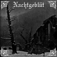 narghtgebliit - frogen streams of forgotten knowledge (CD, used)