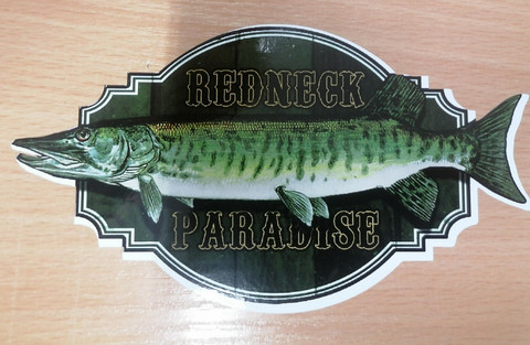 Redneck Paradise vinyylitarra