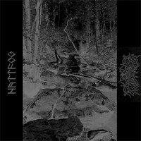 NATTFOG NEKROKRIST SS Split (new)