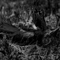 Permanent Solution - Permanent Solution (CD new)