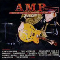 V/A - AMP Magazine Presents Vol. 5 (CD, New)