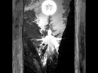 Taatsi - Amidst the Trees (CD, Uusi)