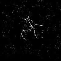 Furia - Marzannie, królowej Polski (LP, Uusi)