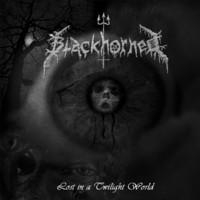 Blackhorned - Lost in a Twilight World (LP, Käytetty)