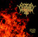 Selbstmord - Some Day The Whole World... (CD, Uusi)