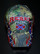 Rebel Pride  cap