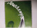 Blossosms (CD, ep, käytetty)