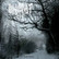 Wintergeist ‎– Kalte Fluten (CD, uusi)