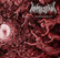 Korpsesoturi ‎– Korpskrist (CD, uusi)