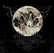 disciples of the void pro 051  (CD, used)