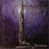demise - nachtmystium (CD, used)