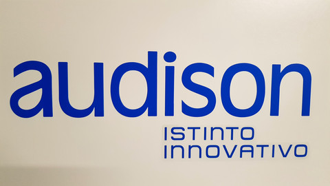 Audison vinyylitarra irtokirjaimilla 37 x 14cm