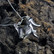 Vintage silver pendant Falling Leaf