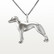 Whippet-riipus