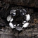 Vintage silver bracelet Blue Dunes